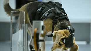 Can dogs sniff cancer? AI joins the hunt in India