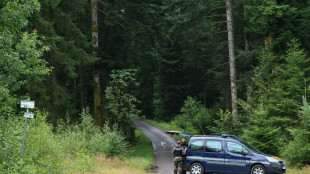 Les recherches pour retrouver Lina reprennent, en Haute-Sa&ocirc;ne 