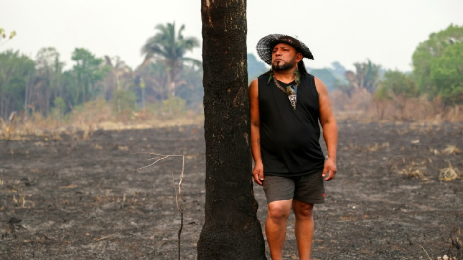 Abholzung in Brasiliens Amazonasgebiet auf niedrigstem Stand seit fast 40 Jahren