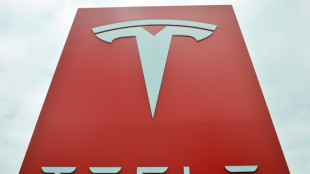 Millions of Teslas recalled in China over door handle safety