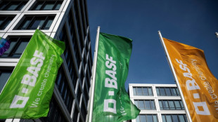 Chemiekonzern BASF er&ouml;ffnet riesiges neues Werk in China