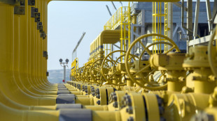 Il gas supera i 100 euro, timori di una crisi energetica in Europa