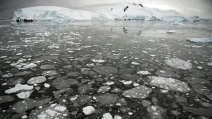 El hielo en la Antártida alcanza su tercer pico invernal más bajo en medio siglo
