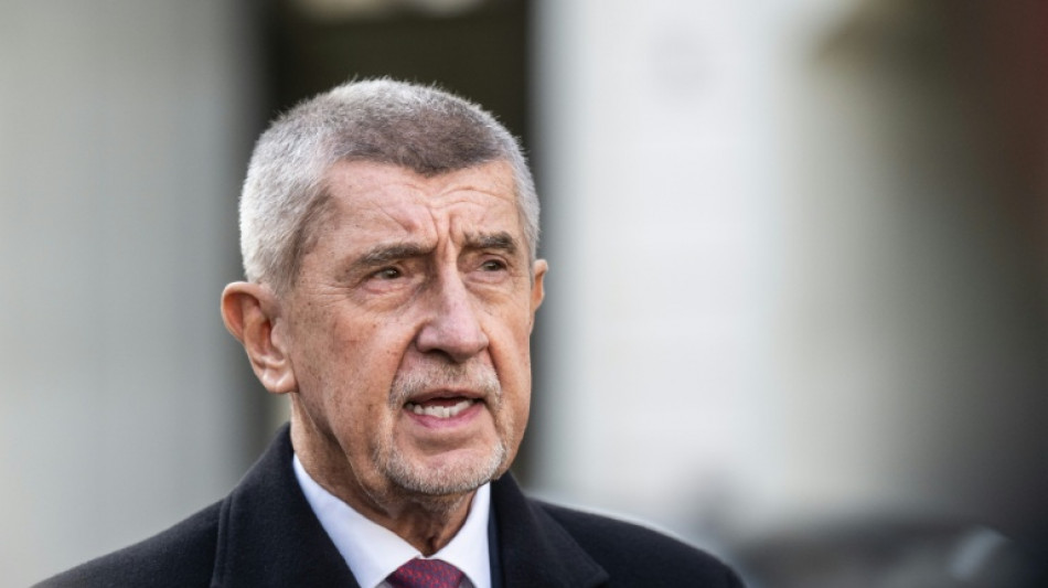 Merz empf&auml;ngt tschechischen Regierungschef Babis im Kanzleramt