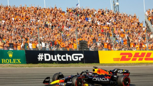 Verstappen delights home crowd with pulsating Dutch GP pole