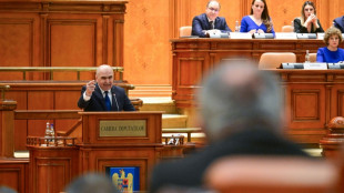 Le Parlement roumain vote une nouvelle fois pour tenter de former un gouvernement
