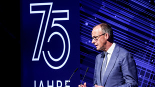 Merz verso Consiglio sicurezza sul caro-energia, al via incontri