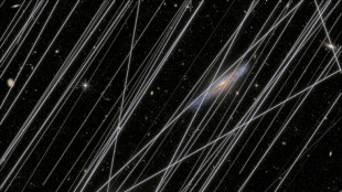 La proliferaci&oacute;n de sat&eacute;lites amenaza la observaci&oacute;n del cielo con telescopio