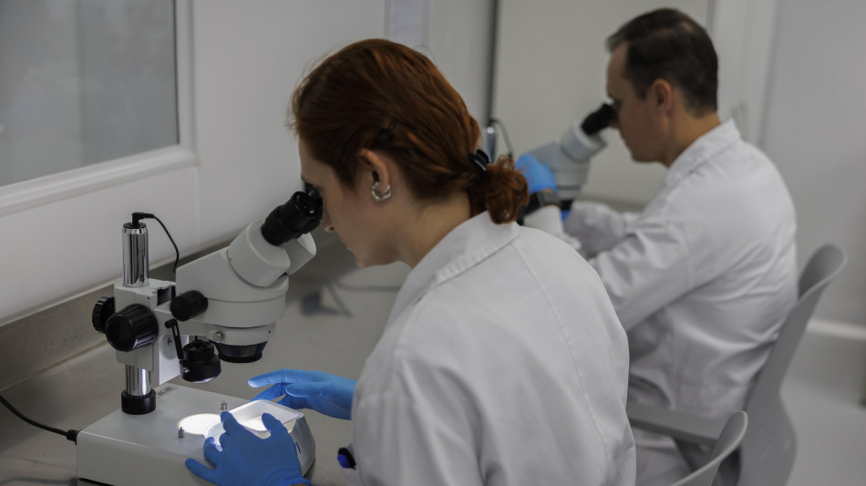 Compie 25 anni la mappa che ha rivoluzionato la lotta ai tumori