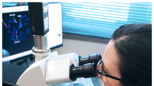 Osservato come virus dell'influenza entra in cellule organismo