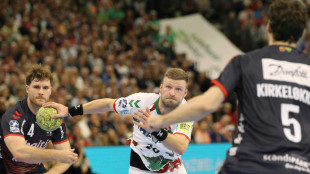 HBL: Magdeburg schl&auml;gt Flensburg im Spitzenspiel