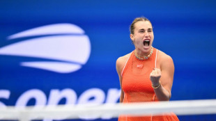 "Super-human' Alcaraz books US Open quarter-final clash with Shelton
