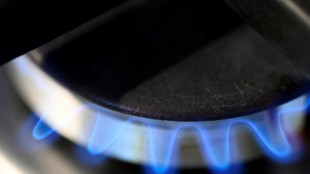 Bundesrat billigt Senkung der Mehrwertsteuer auf Gas und Fernw&auml;rme