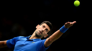 Tennis: entr&eacute;e ma&icirc;tris&eacute;e pour Djokovic &agrave; Paris