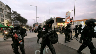 La CIDH pide investigar la muerte de indígenas durante las manifestaciones en Ecuador