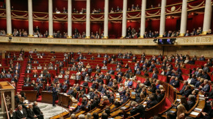 Le budget de la S&eacute;cu de retour &agrave; l'Assembl&eacute;e pour un examen express en commission