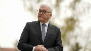 "Bild": Steinmeier sagt f&uuml;r Donnerstag geplante Reise nach Kiew ab