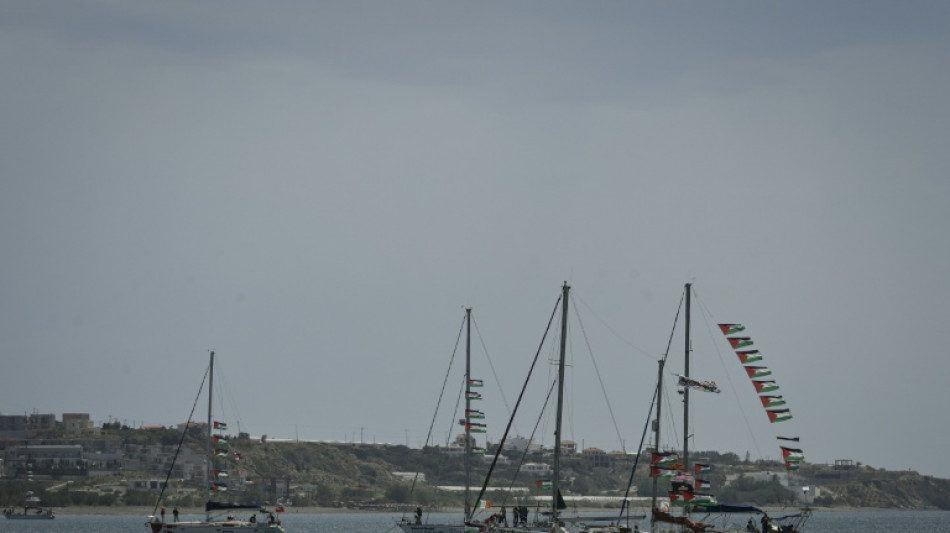 Dos activistas brasile&ntilde;o y palestino-espa&ntilde;ol de la flotilla comparecen ante un tribunal israel&iacute;