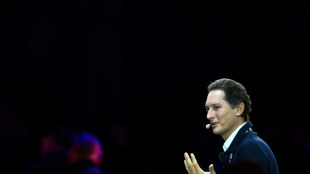 El fabricante de autos Stellantis planea invertir 13.000 millones de dólares para 2029 en EEUU