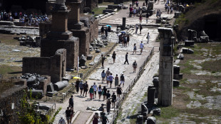 Mic, centinaia di migliaia di visitatori per la #domenicalmuseo