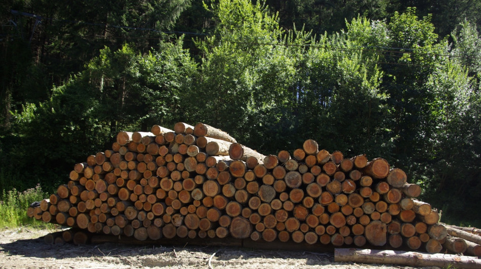 Analisi Etifor, calo 5-8% filiera legno arredo con dazi Usa