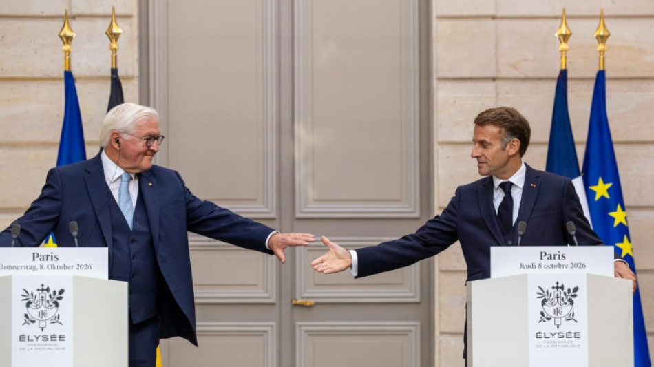 Les Allemands resteront de "bons Europ&eacute;ens", assure le pr&eacute;sident Steinmeier