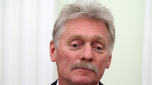 Cremlino, 'siamo sempre contrari a una tregua energetica, serve la pace'