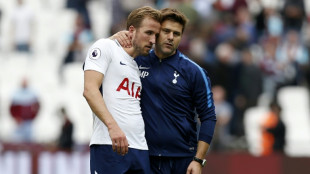 Pochettino calls for Chelsea to lose 2016-17 Premier League title