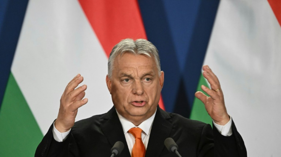 Gelder aus dem Ausland: Ungarn versch&auml;rft Regeln f&uuml;r Nichtregierungsorganisationen