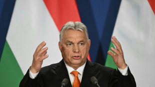Gelder aus dem Ausland: Ungarn versch&auml;rft Regeln f&uuml;r Nichtregierungsorganisationen