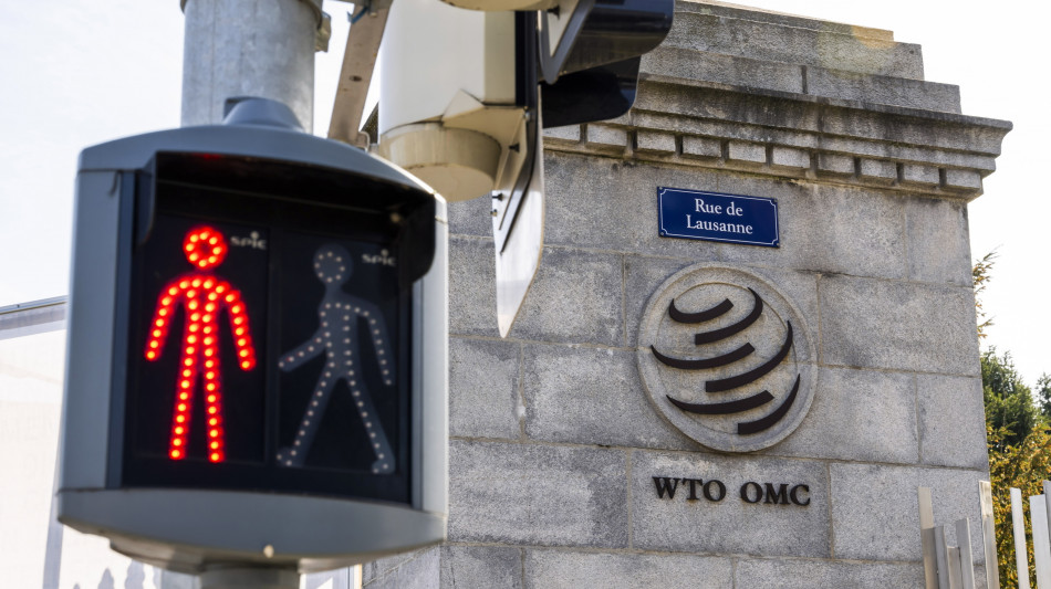 Wto, da dazi possibile contrazione scambi dell'1% nel 2025