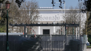 Giuria Biennale Arte, 'Israele e Russia esclusi dai premi'