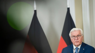 Bundespr&auml;sident Steinmeier w&uuml;rdigt Ehrenamtler als "Bollwerk gegen Gleichg&uuml;ltigkeit"