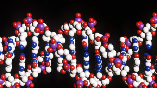 Dna e tumori, dalla fisica la chiave per capire il loro legame