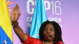 Vice-presidente da Col&ocirc;mbia denuncia amea&ccedil;as de morte
