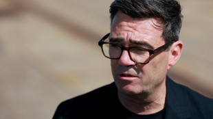 Burnham a Kiev, 'determinati a darvi l'aiuto militare che vi serve'