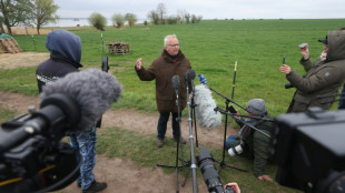 Neue Wende in Drama um Buckelwal: Tier schwimmt sich selbst frei