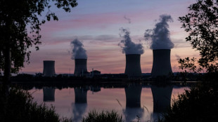 EDF: d&eacute;couverte d'autres fissures "non n&eacute;gligeables" dans deux r&eacute;acteurs