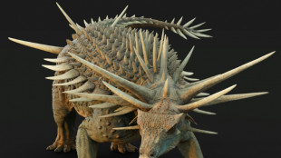 Cientistas descobrem 'estranho' dinossauro coberto por armadura de espinhos