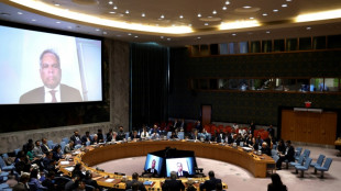 Scharfe Kritik an Israels Plänen bei Dringlichkeitssitzung des UN-Sicherheitsrats