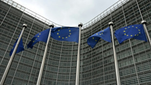 Outremer: Bruxelles veut prolonger l'octroi de mer jusqu'en 2030