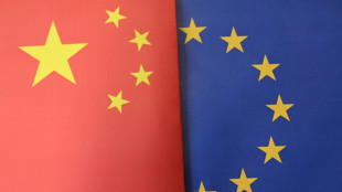 EU begrenzt chinesische Hybridauto-Importe auf 350.000 pro Jahr