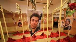 Ir&aacute;n ejecut&oacute; a m&aacute;s de 500 personas en lo que va de 2026, afirma ONG