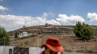 Former envoys urge joint French, UK action on Palestinian territories