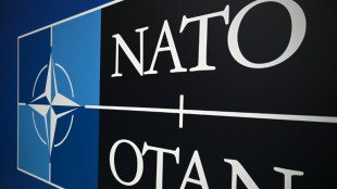 Nato hat mit Planung f&uuml;r Arktis-Mission "Arctic Sentry" begonnen