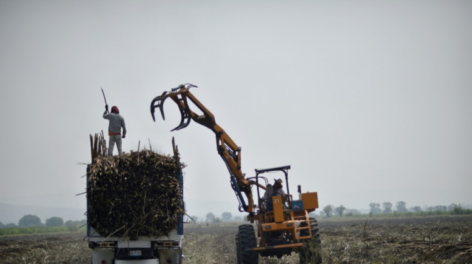 M&eacute;xico anuncia que multiplicar&aacute; sus exportaciones de az&uacute;car a EEUU