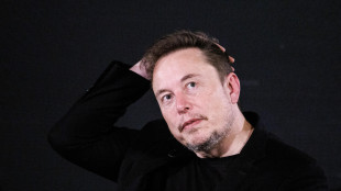 Wsj, il cda di Tesla cerca un nuovo ceo per sostituire Musk