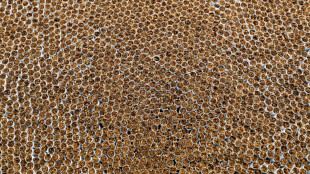 Illegale Zigarettenfabrik in Sachsen-Anhalt: Vier Verd&auml;chtige in Untersuchungshaft