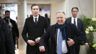 Media, 'a Abu Dhabi Witkoff-Kushner per Usa, Budanov per Kiev, Dmitriev per Mosca'