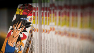 Fran&ccedil;a busca assinar acordo sobre parque tem&aacute;tico de 'Dragon Ball' durante visita de pr&iacute;ncipe saudita